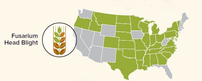 A map of the united states AI-generated content may be incorrect.