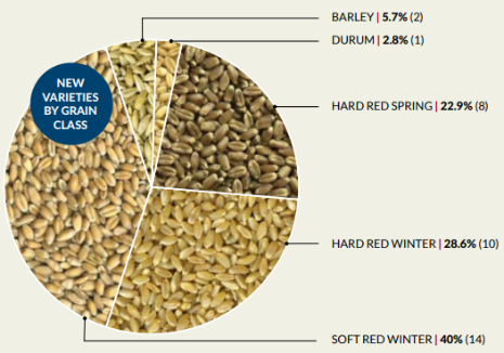A diagram of different types of grains AI-generated content may be incorrect.