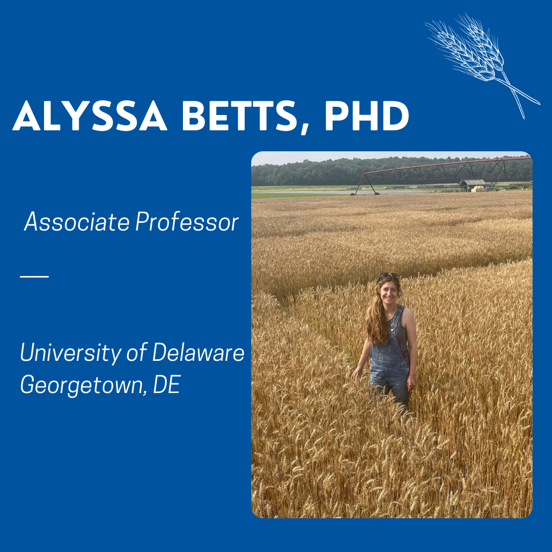 Designed image of Alyssa Betts