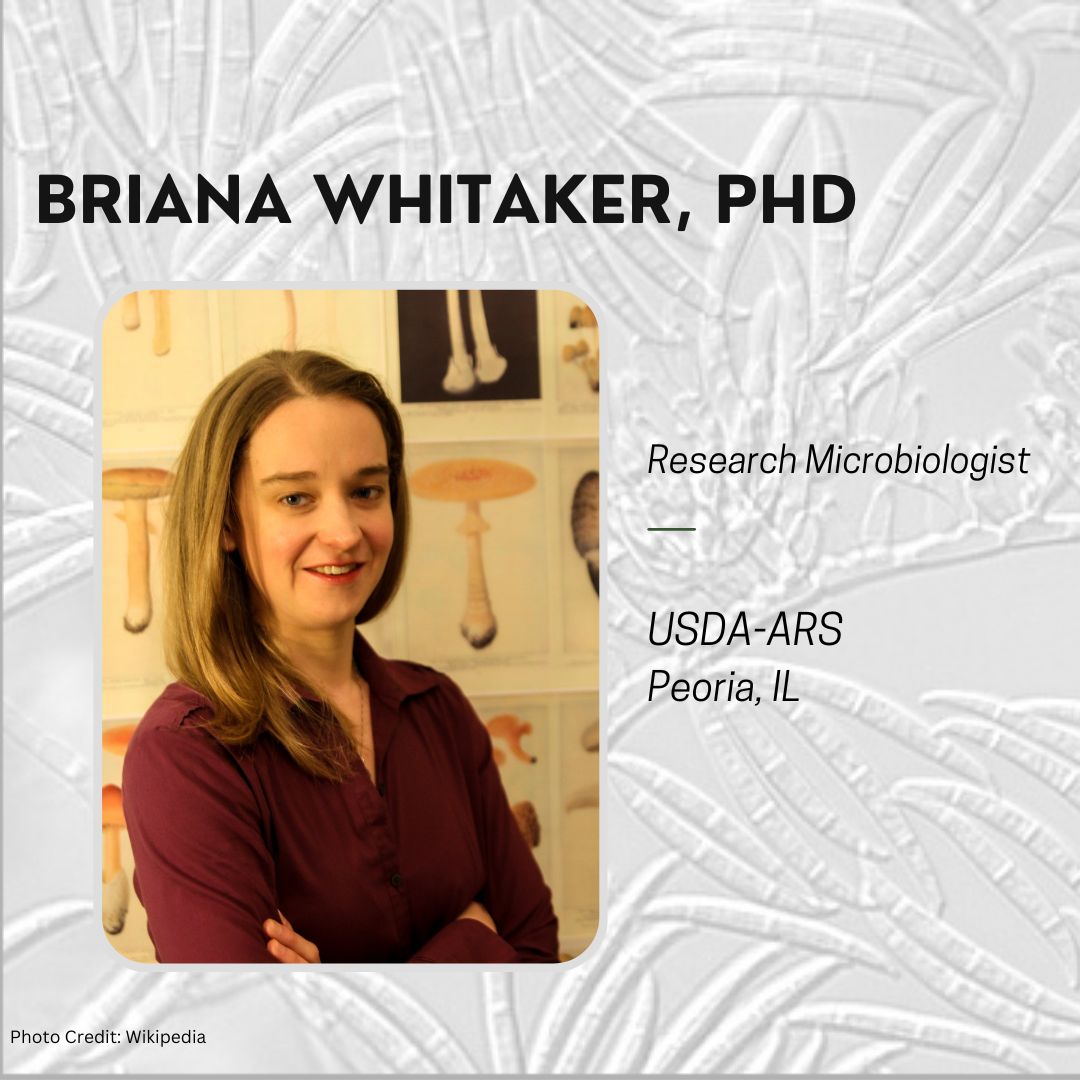 briana-whitaker