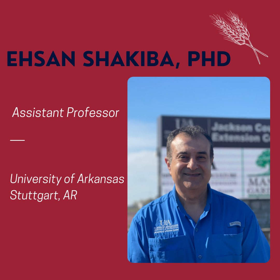 ehsan-shakiba